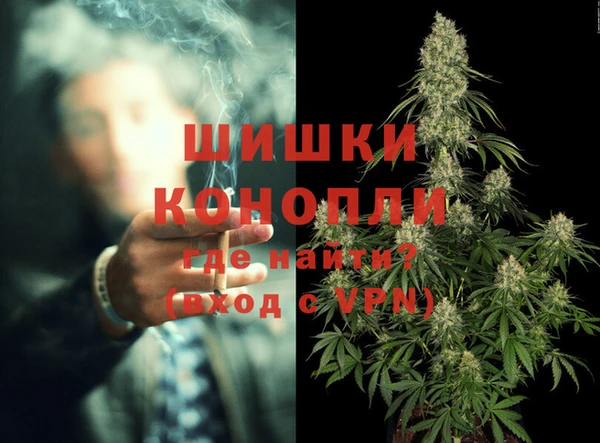 PSILOCYBIN Нягань