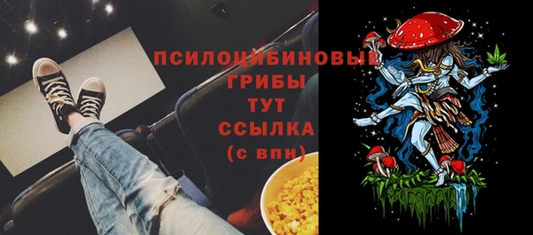 первитин Абинск