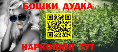 прущие грибы Ачхой-Мартан