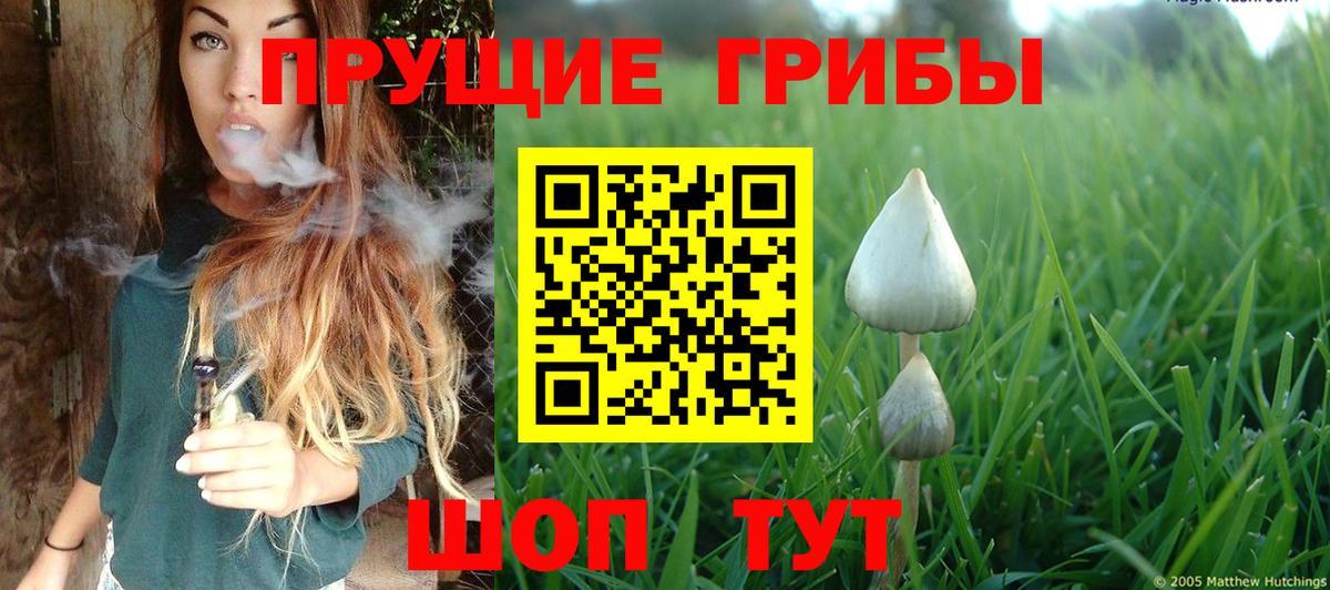 Галлюциногенные грибы MAGIC MUSHROOMS  Вход с VPN  Псилоцибиновые грибы Psilocybine cubensis  Липецк 