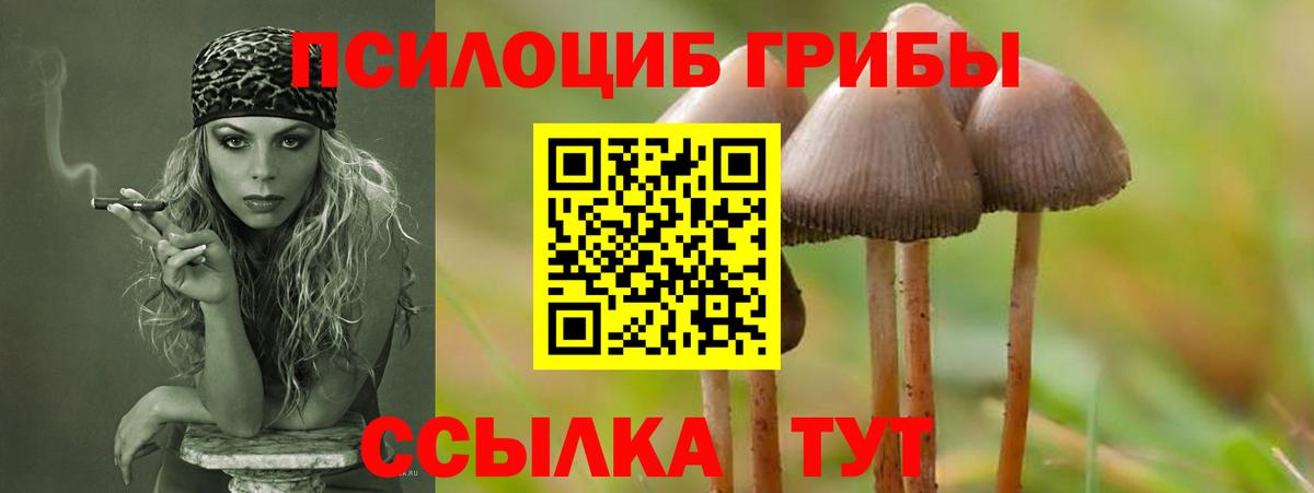 Псилоцибиновые грибы Magic Shrooms Липецк